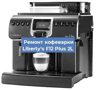 Чистка кофемашины Liberty's F12 Plus 2L от накипи в Красноярске